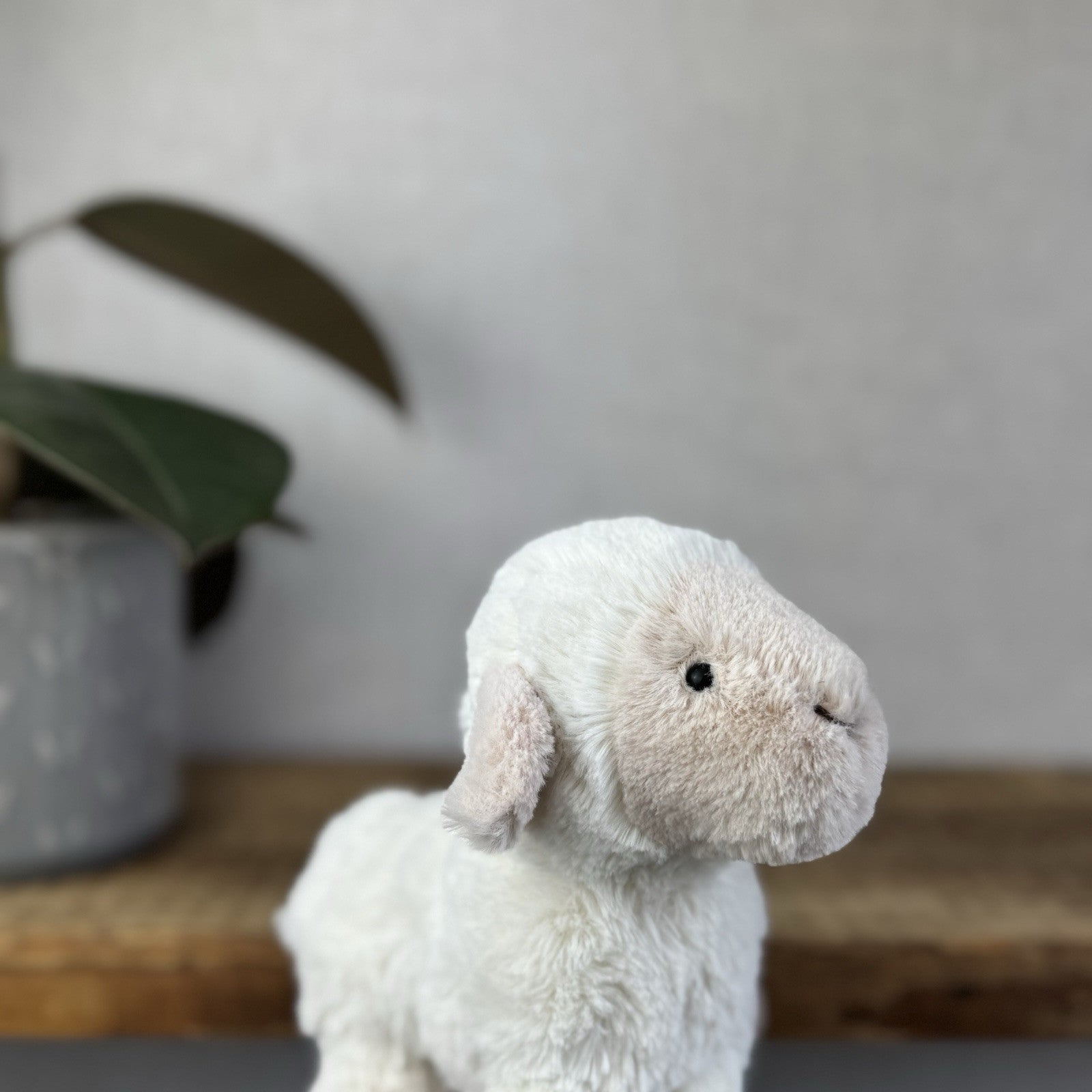 Jellycat Lovely Lamb Soft Plush Cuddly Sheep Retired Small Cream Sheep 8”