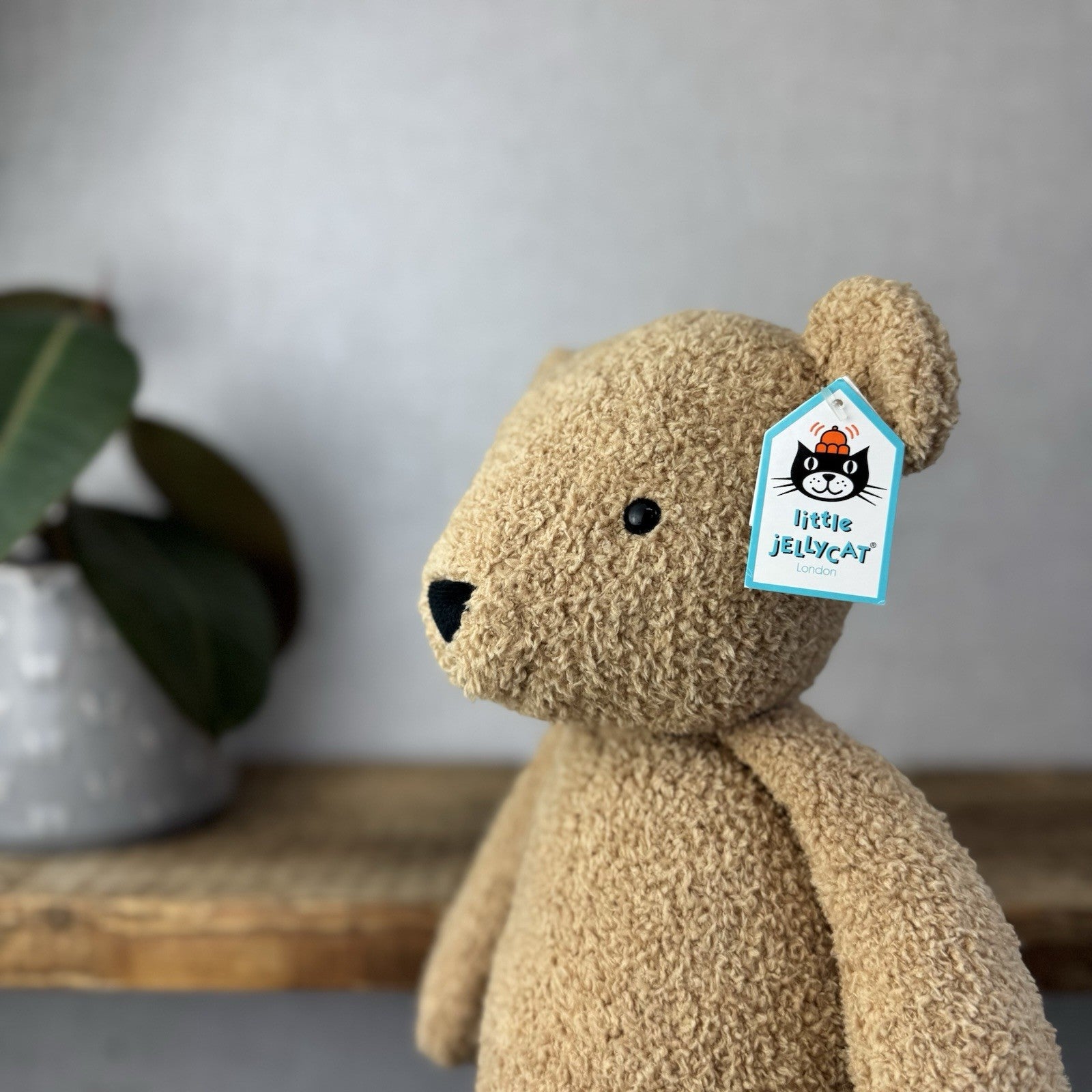 Jellycat Big Teddy - Large Little Jellycat Teddy Soft Toy With Tags Pristine 16"