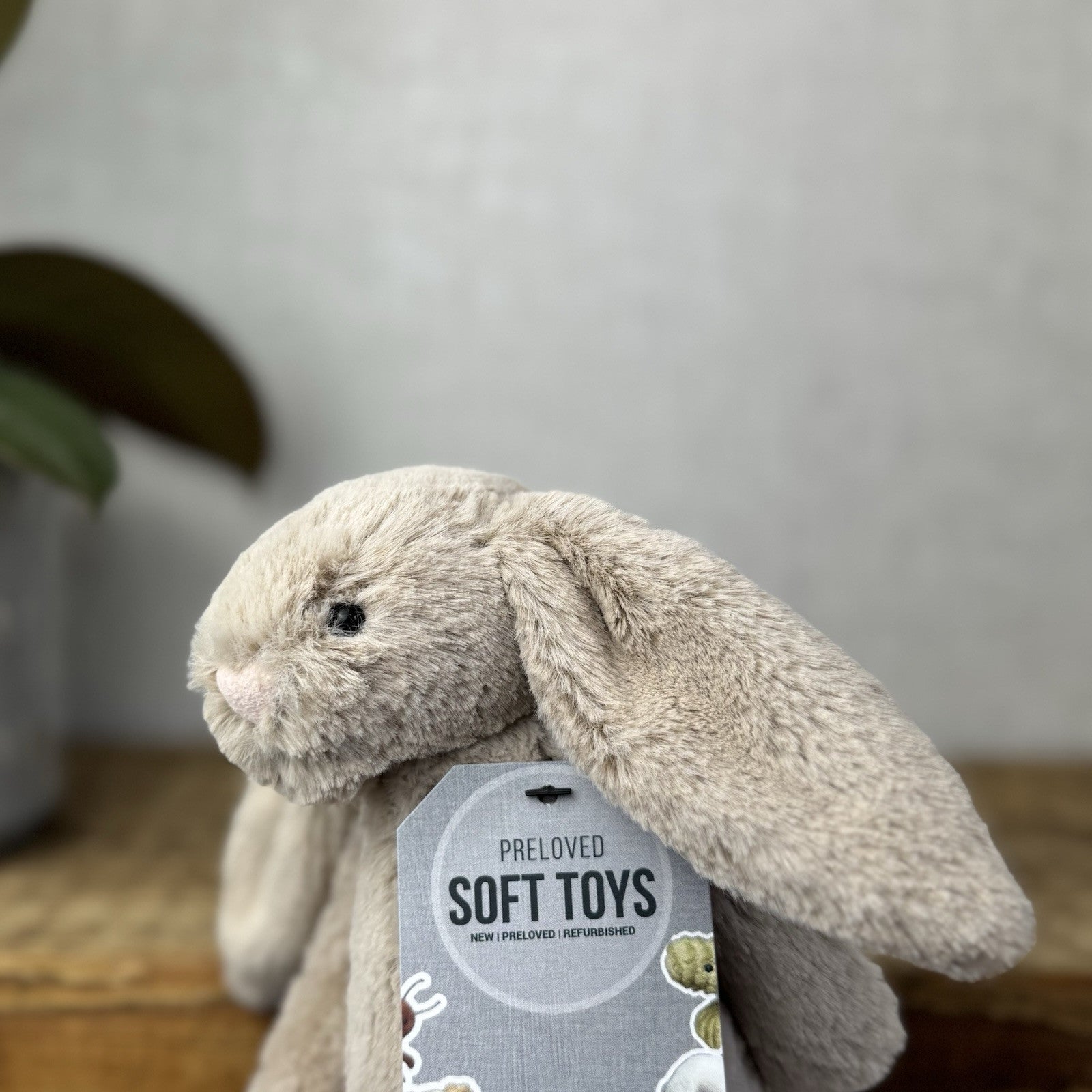 Jellycat Small Beige Bashful Bunny - New Without Tags Little Rabbit 8”