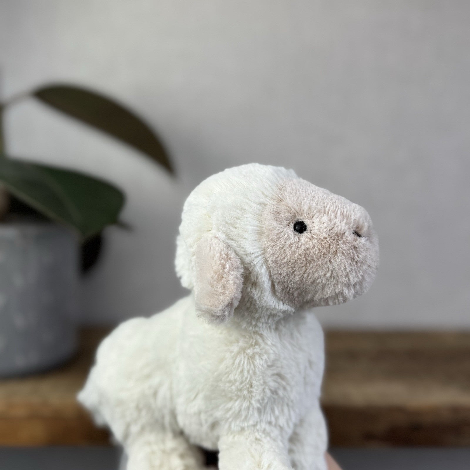 Jellycat Lovely Lamb Soft Plush Cuddly Sheep Retired Small Cream Sheep 8”