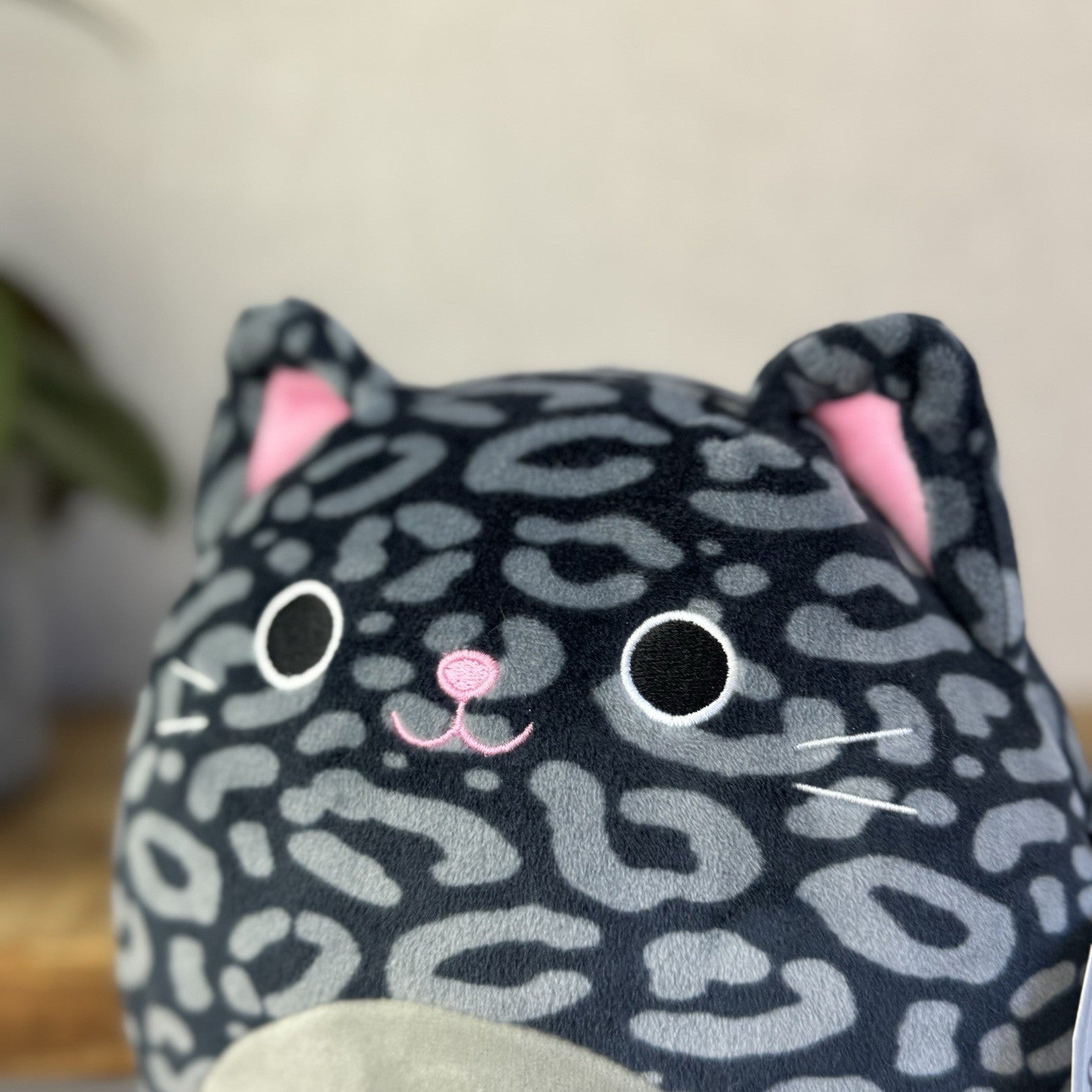 Squishmallow Xiomara The Black/Grey Spotty Cat Rare Cute Kitty Squish Small 7.5"