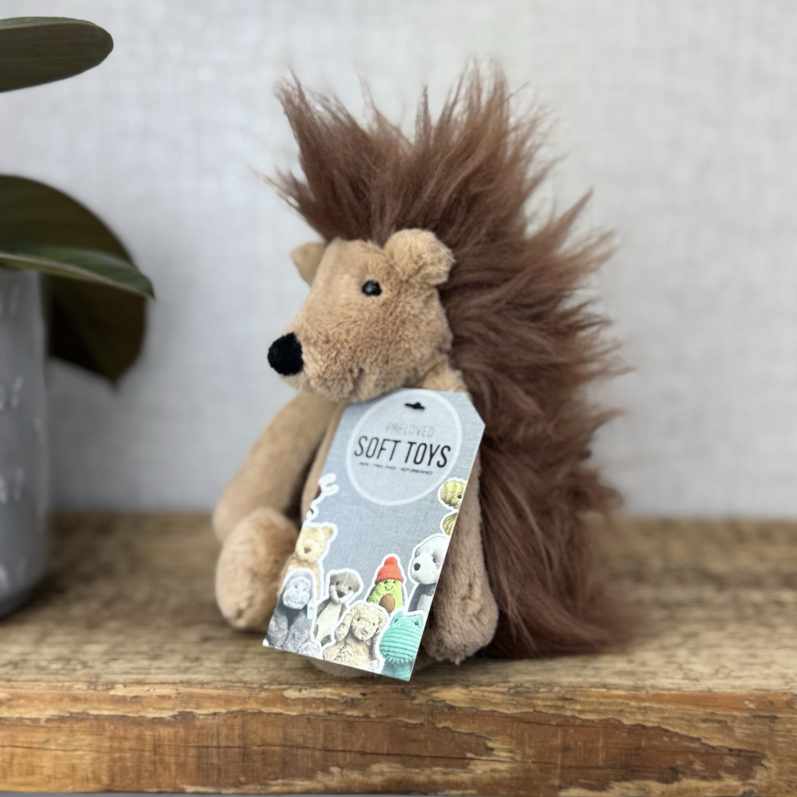 Jellycat Small Bashful Spike Hedgehog - Fluffy Beanie Woodland Hedgehog Rare 8”