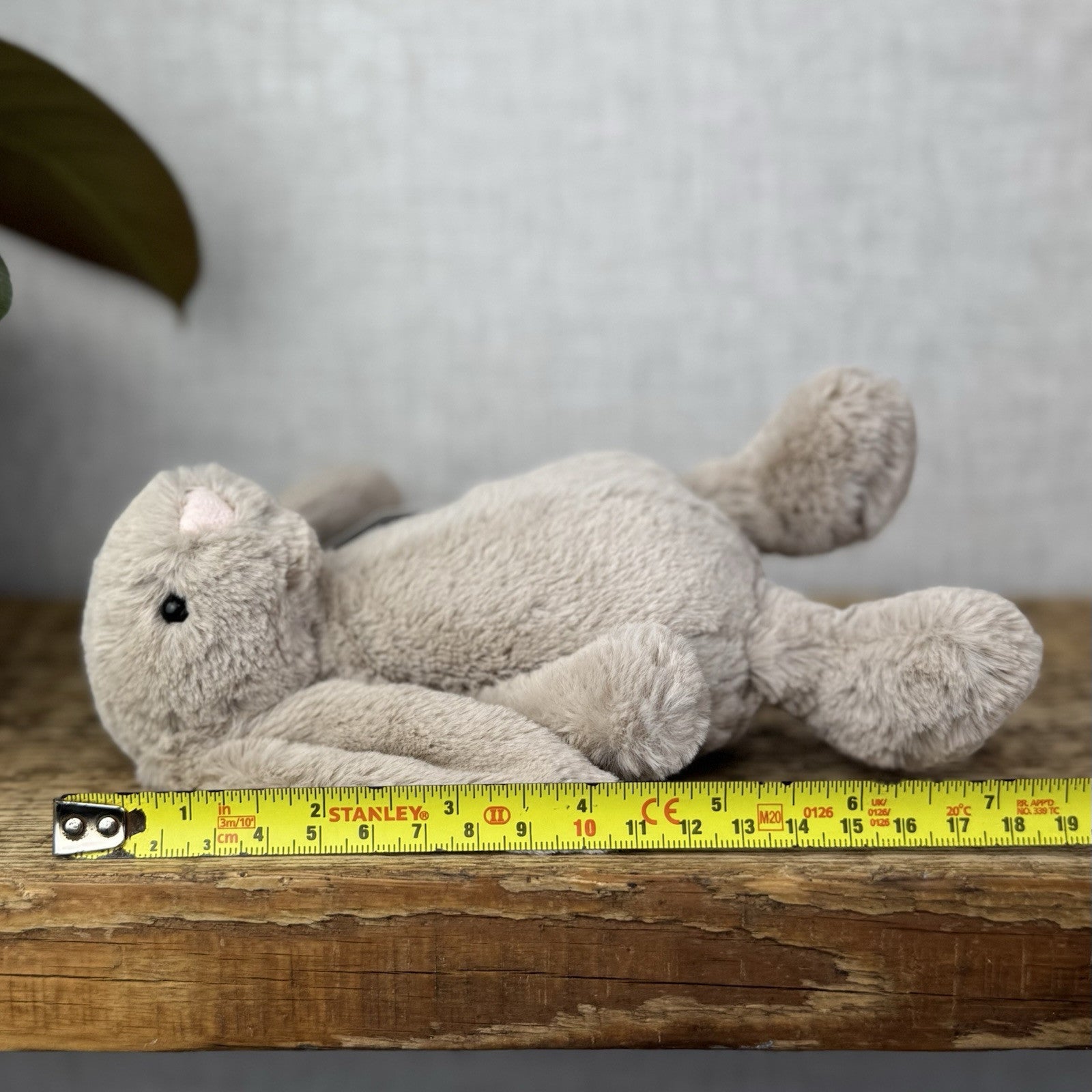 Jellycat Small Beige Bashful Bunny - New Without Tags Little Rabbit 8”