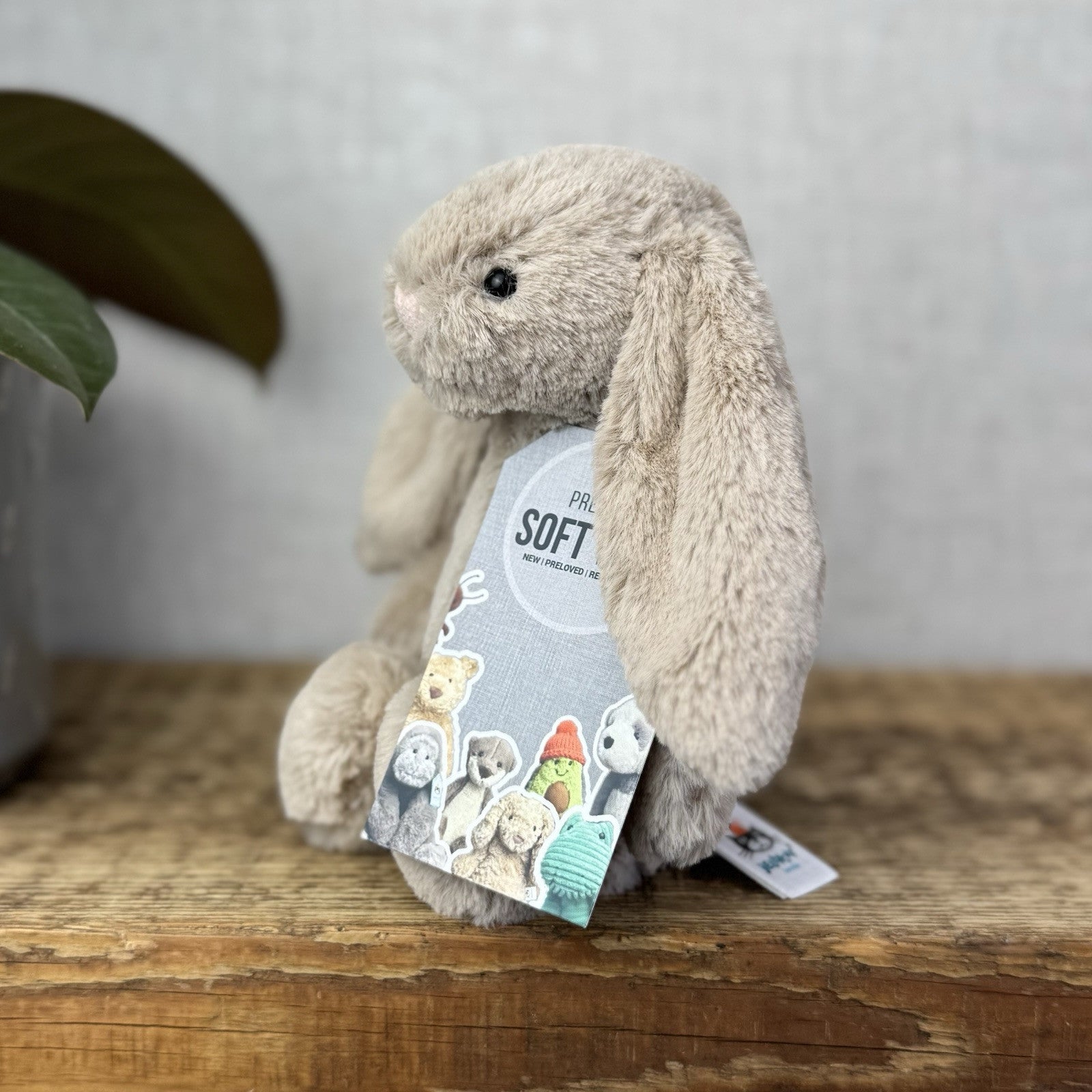 Jellycat Small Beige Bashful Bunny - New Without Tags Little Rabbit 8”