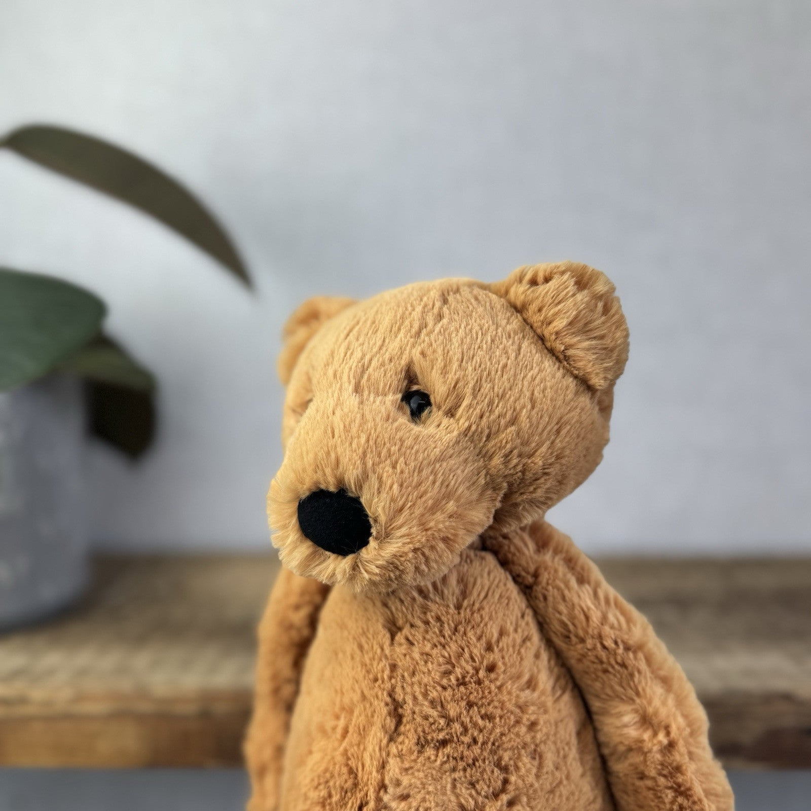 Jellycat Bashful Bear - Medium Brown Bashful Bear - Retired Bear With Tags 12”