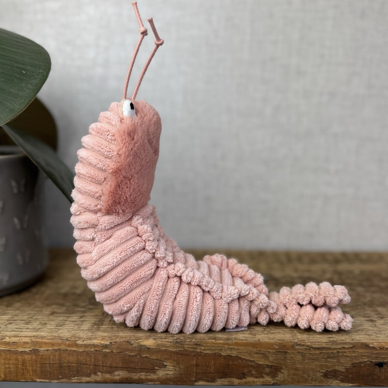 Jellycat Sheldon Shrimp Soft Toy -  Pink Prawn Sea Creature Beanie Plush 8” (#2)
