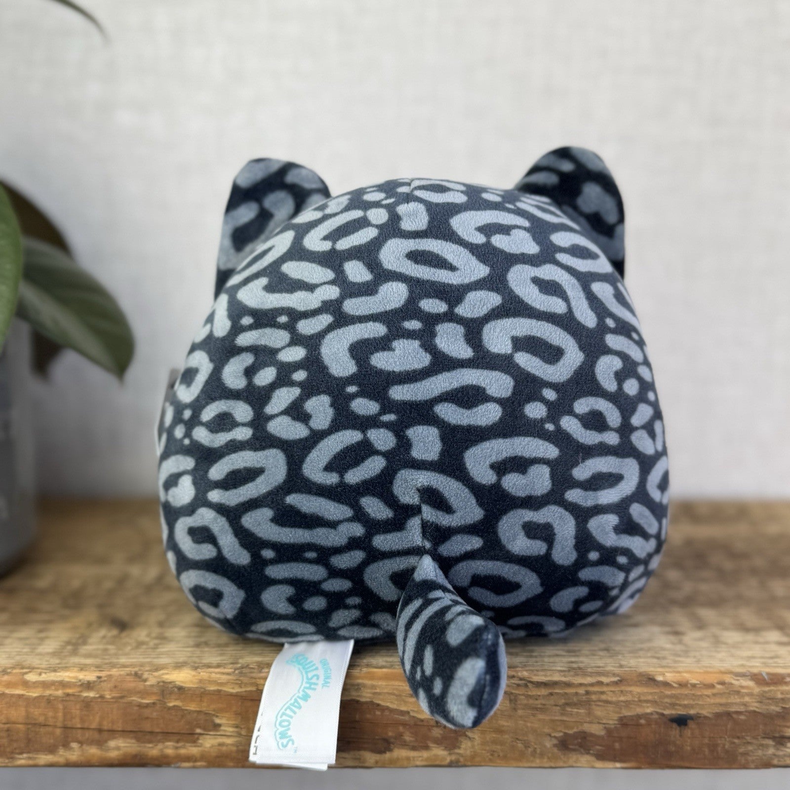 Squishmallow Xiomara The Black/Grey Spotty Cat Rare Cute Kitty Squish Small 7.5"