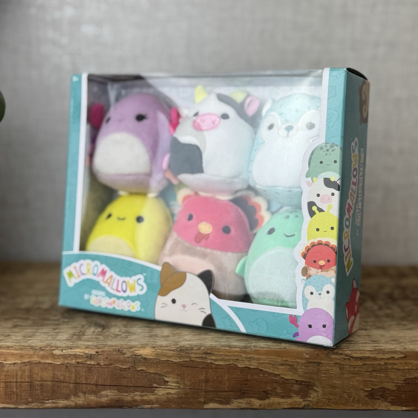 Squishmallow Micromallows 6 pack - Cailey, Connor, Gavi, Zarina, Hasani, Cole