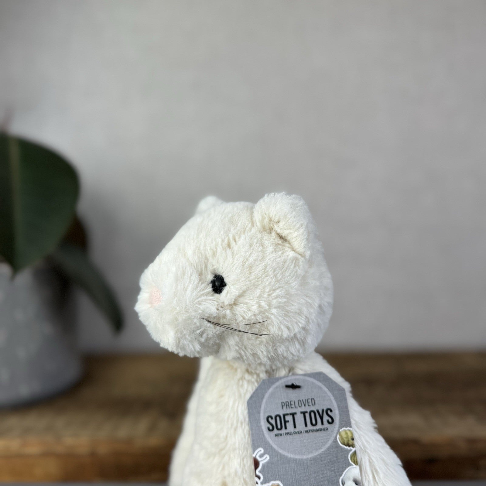 Jellycat Medium Bashful Cream Cat Kitten - Cream Cat With Whiskers Retired 12”