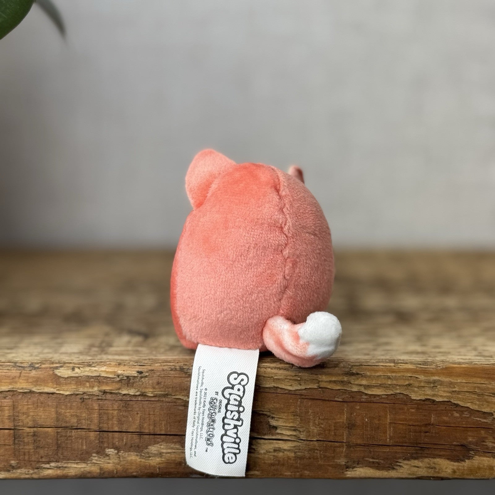 Squishmallow Squishville - Tiny Squishmallow Varity Red Husky Heart Glasses Rare