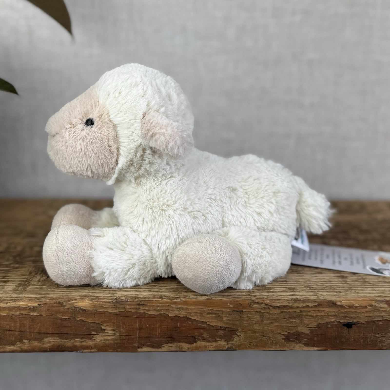 Jellycat Lovely Lamb Soft Plush Cuddly Sheep Retired Small Cream Sheep 8”