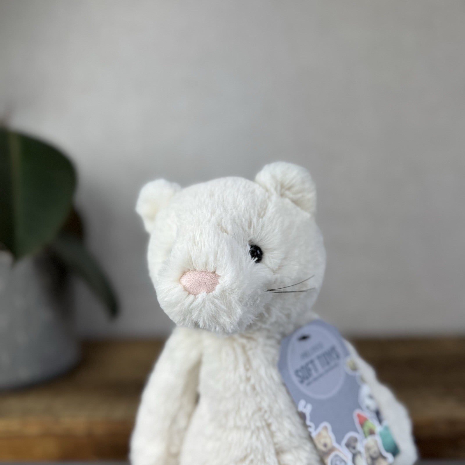 Jellycat Medium Bashful Cream Cat Kitten - Cream Cat With Whiskers Retired 12”