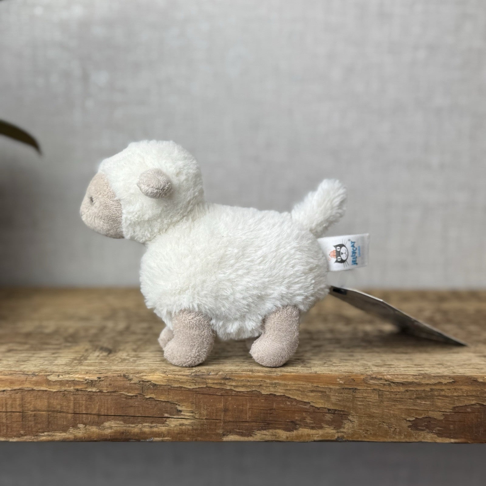 Jellycat Diddle Lamb - Diddle Collection - Tiny Sheep/Lamb Pocket Pal 5"