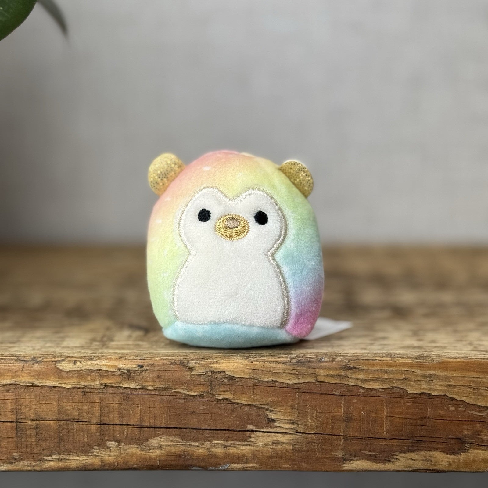 Squishmallow Squishville - Tiny Squishmallow Bowie Tie-dye Hedgehog Cute Rare 2”