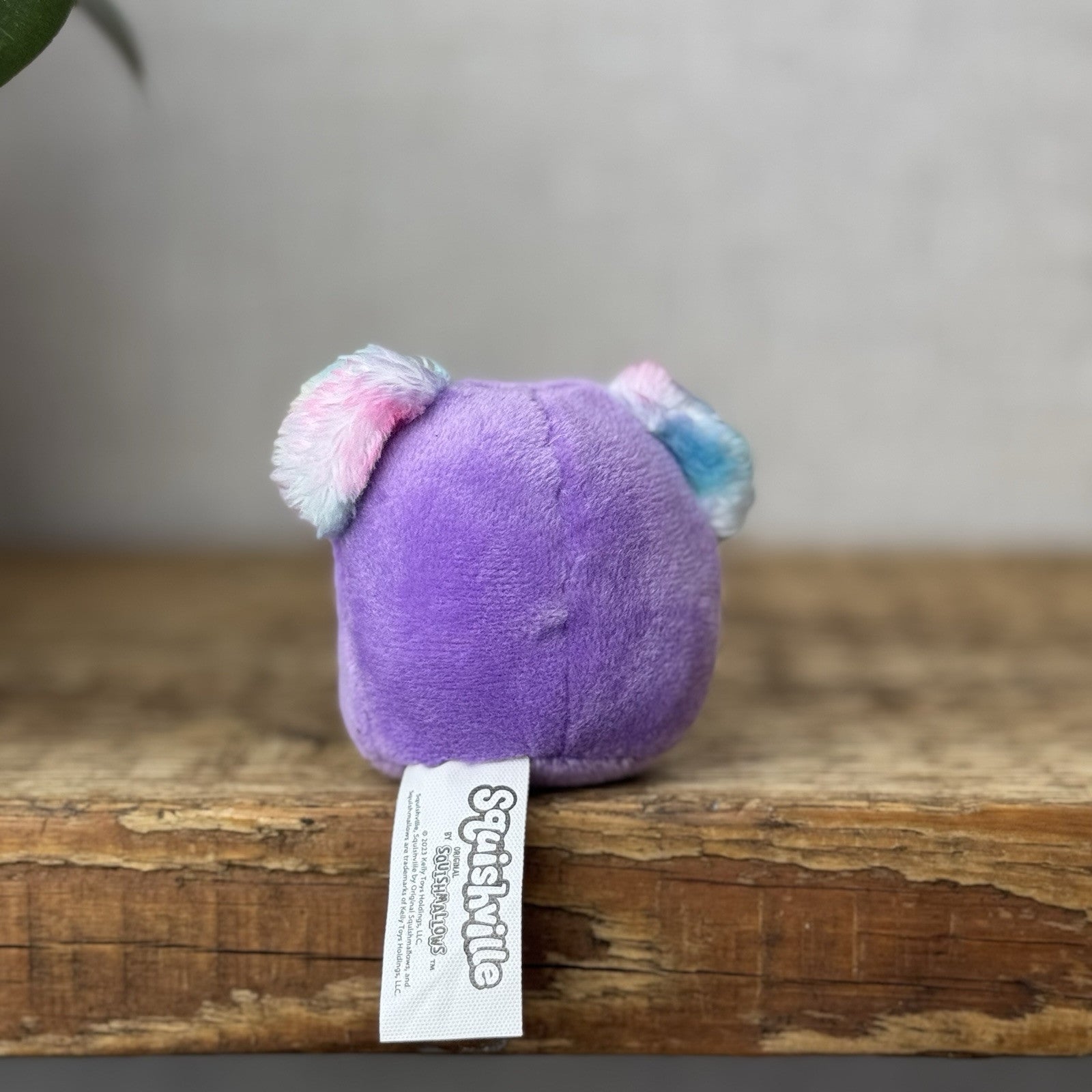 Squishmallow Squishville - Tiny Squishmallow Renate Koala - Tie Dye Purple 2”