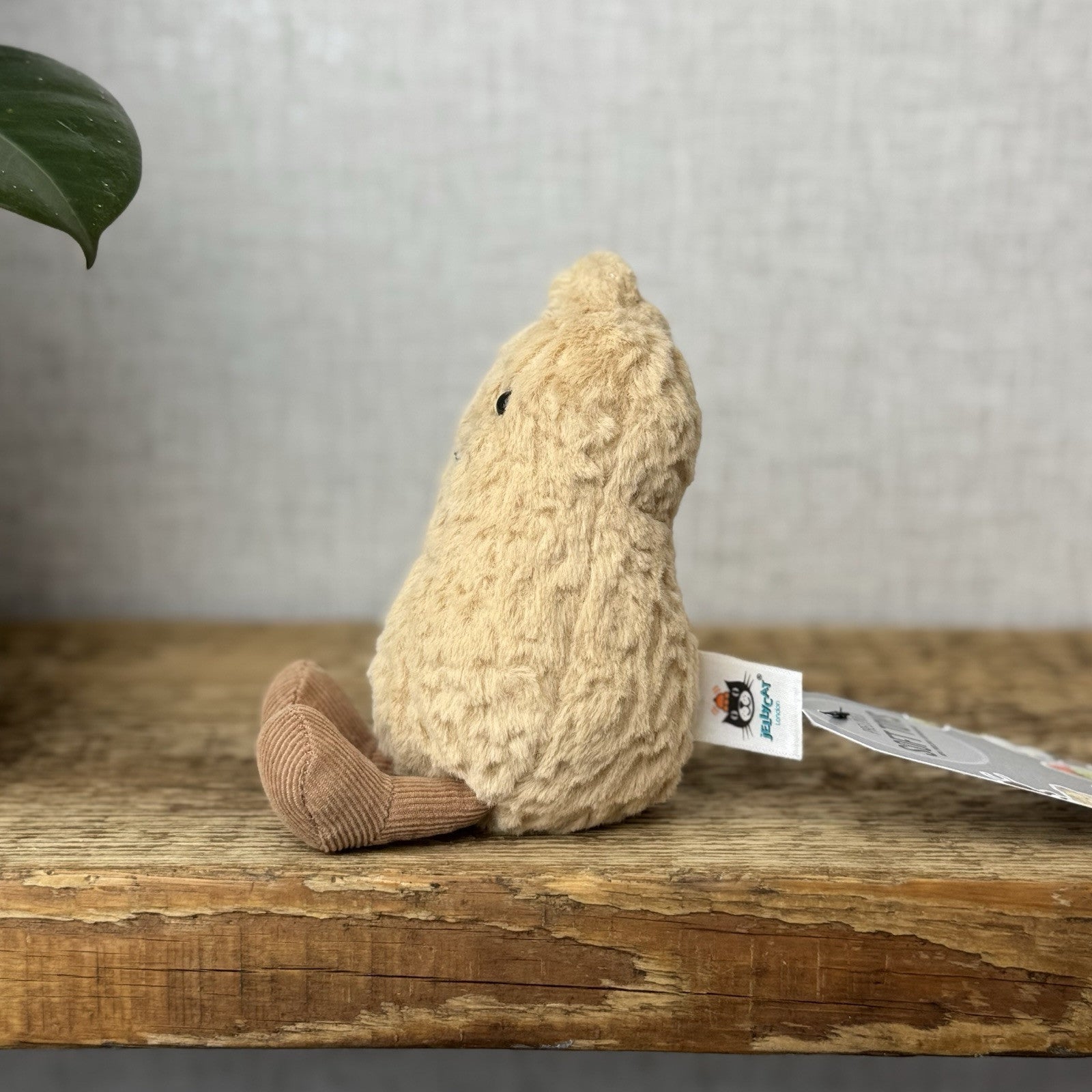 Jellycat Amuseable Peanut - Small Soft Toy Peanut Plush Beanie Tiny Nut 6”