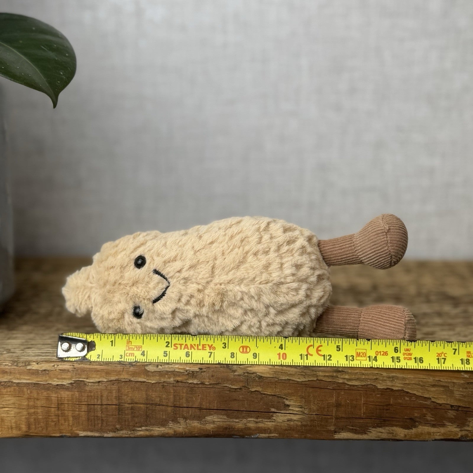 Jellycat Amuseable Peanut - Small Soft Toy Peanut Plush Beanie Tiny Nut 6”