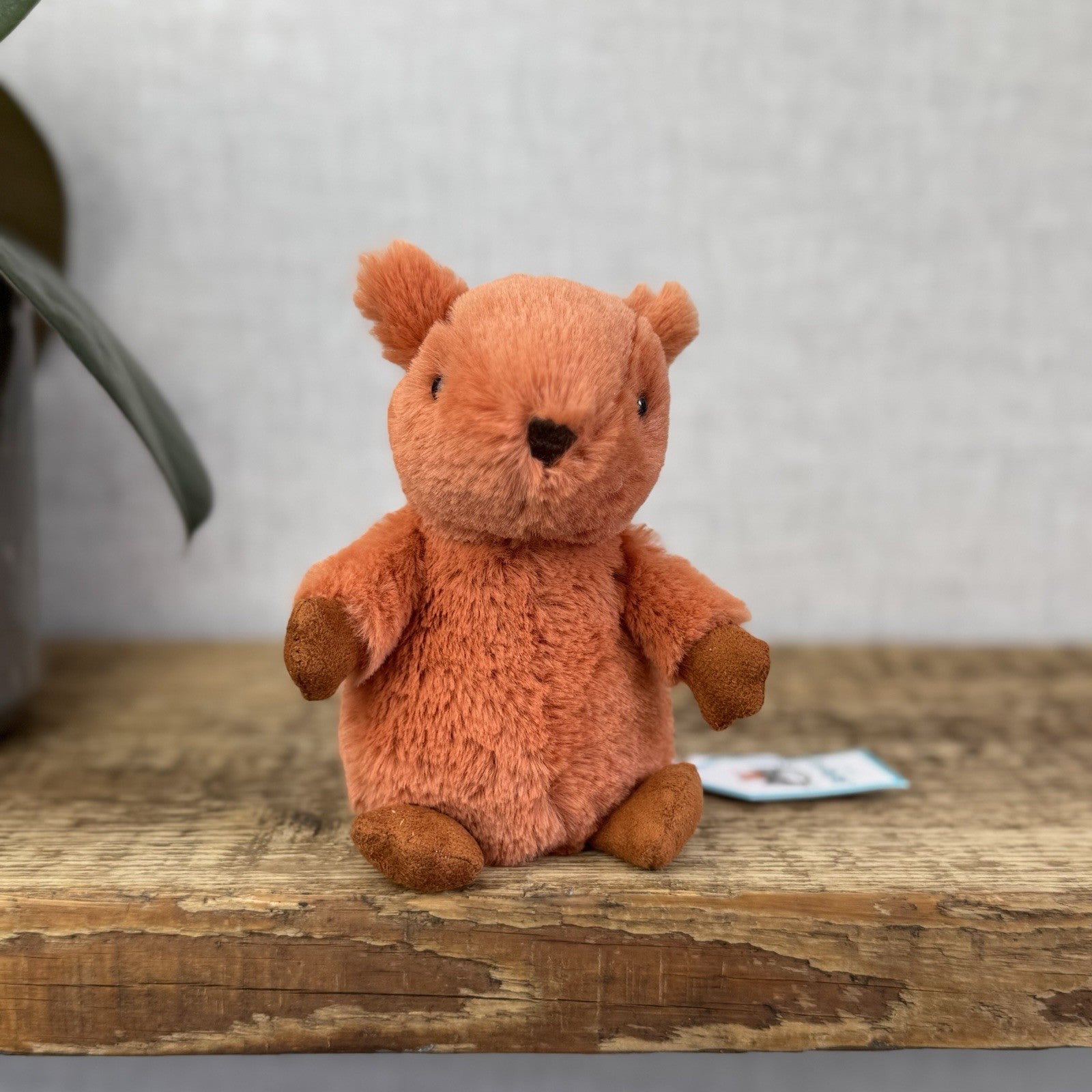 Jellycat Nippit Squirrel - Tiny Red Soft Beanie Squirrel Toy Plush - New Tags 5”