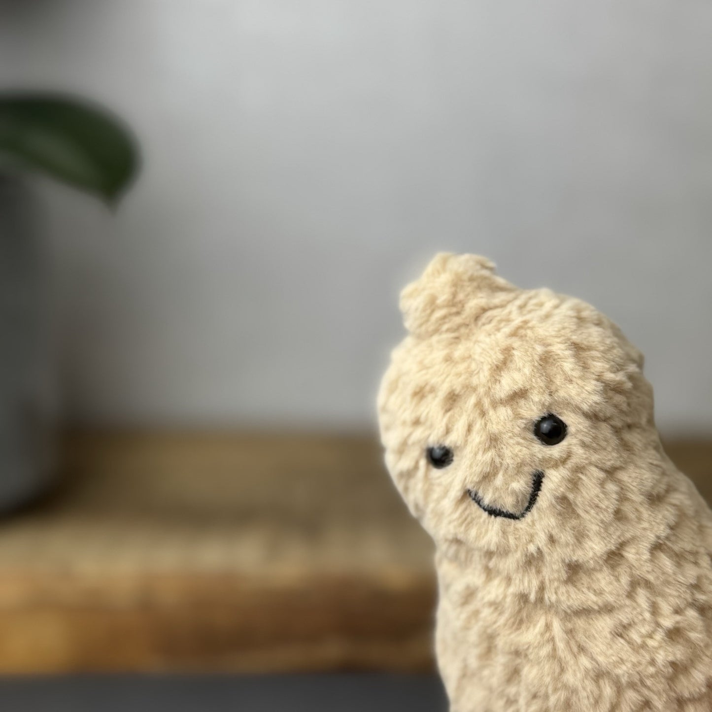 Jellycat Amuseable Peanut - Small Soft Toy Peanut Plush Beanie Tiny Nut 6”