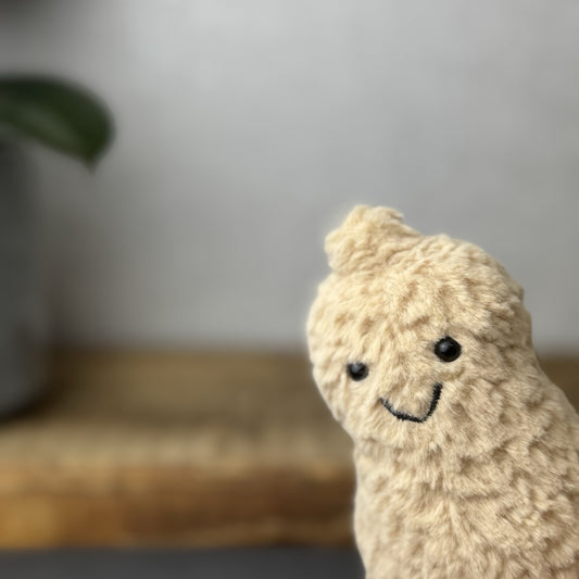 Jellycat Amuseable Peanut - Small Soft Toy Peanut Plush Beanie Tiny Nut 6”