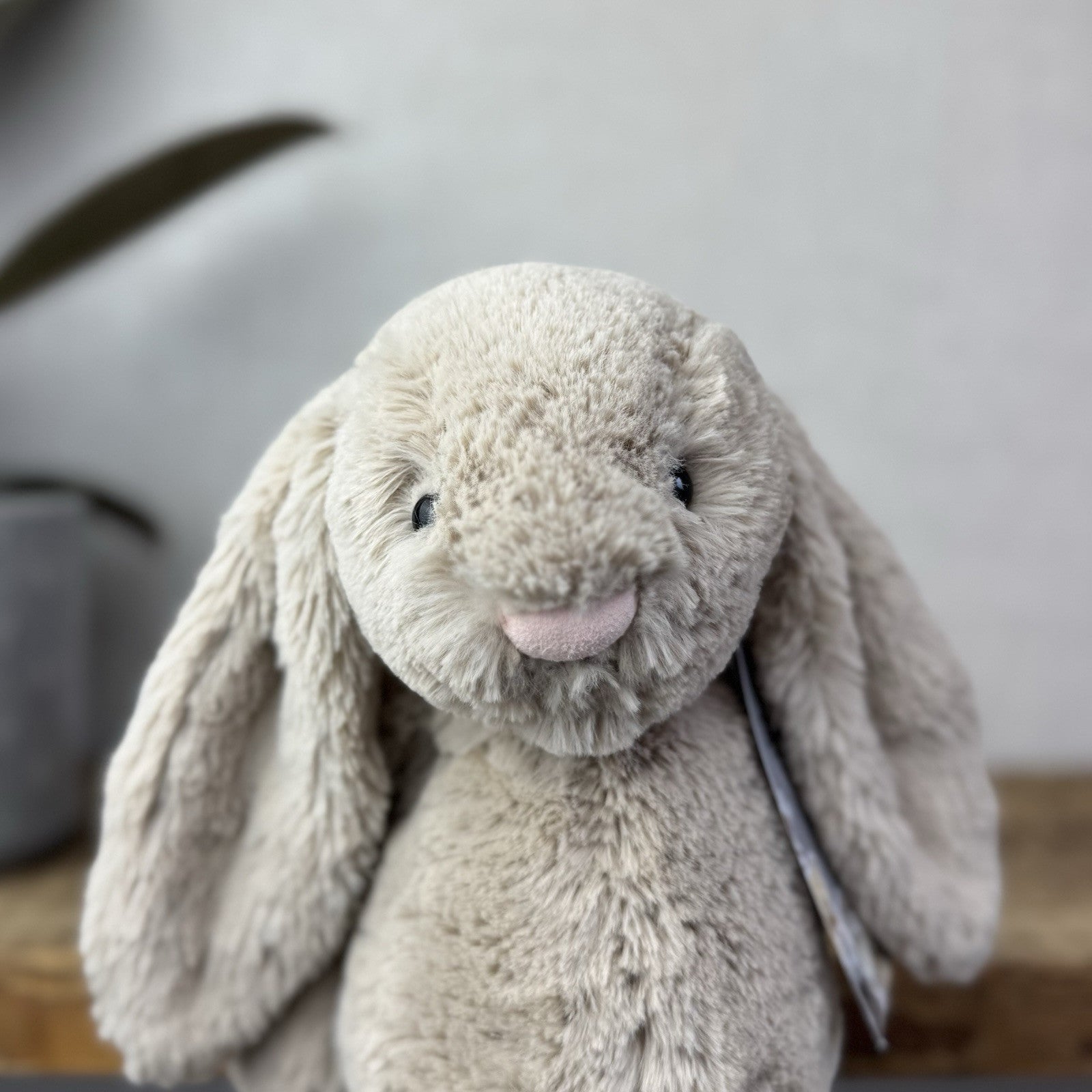 Jellycat Medium Bashful Beige Bunny - Light Brown Bunny Soft Toy Beanie 12” (3)