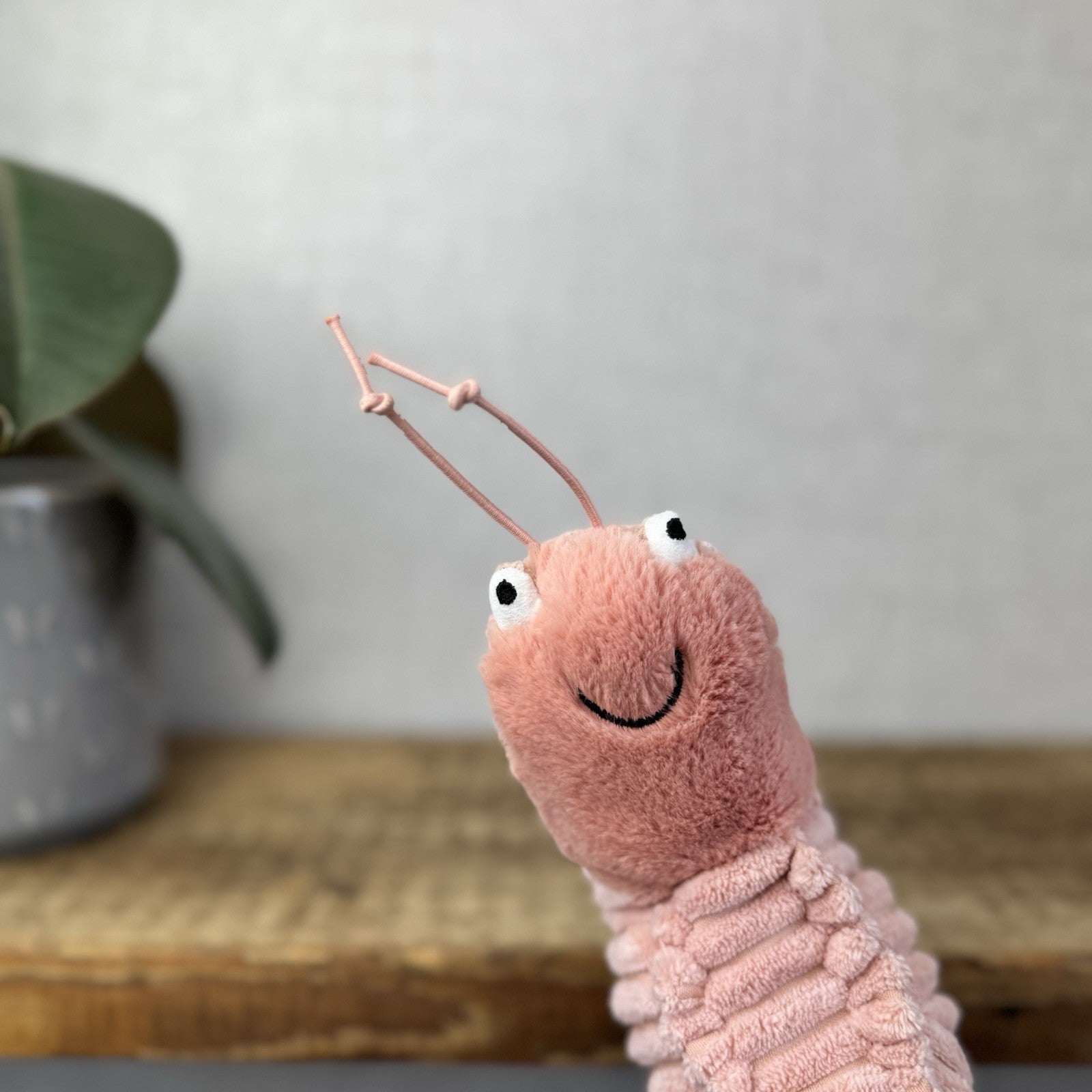 Jellycat Sheldon Shrimp Soft Toy -  Pink Prawn Sea Creature Beanie Plush 8” (#2)
