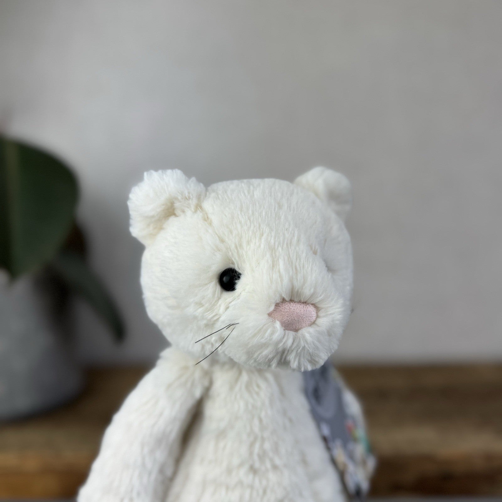 Jellycat Medium Bashful Cream Cat Kitten - Cream Cat With Whiskers Retired 12”