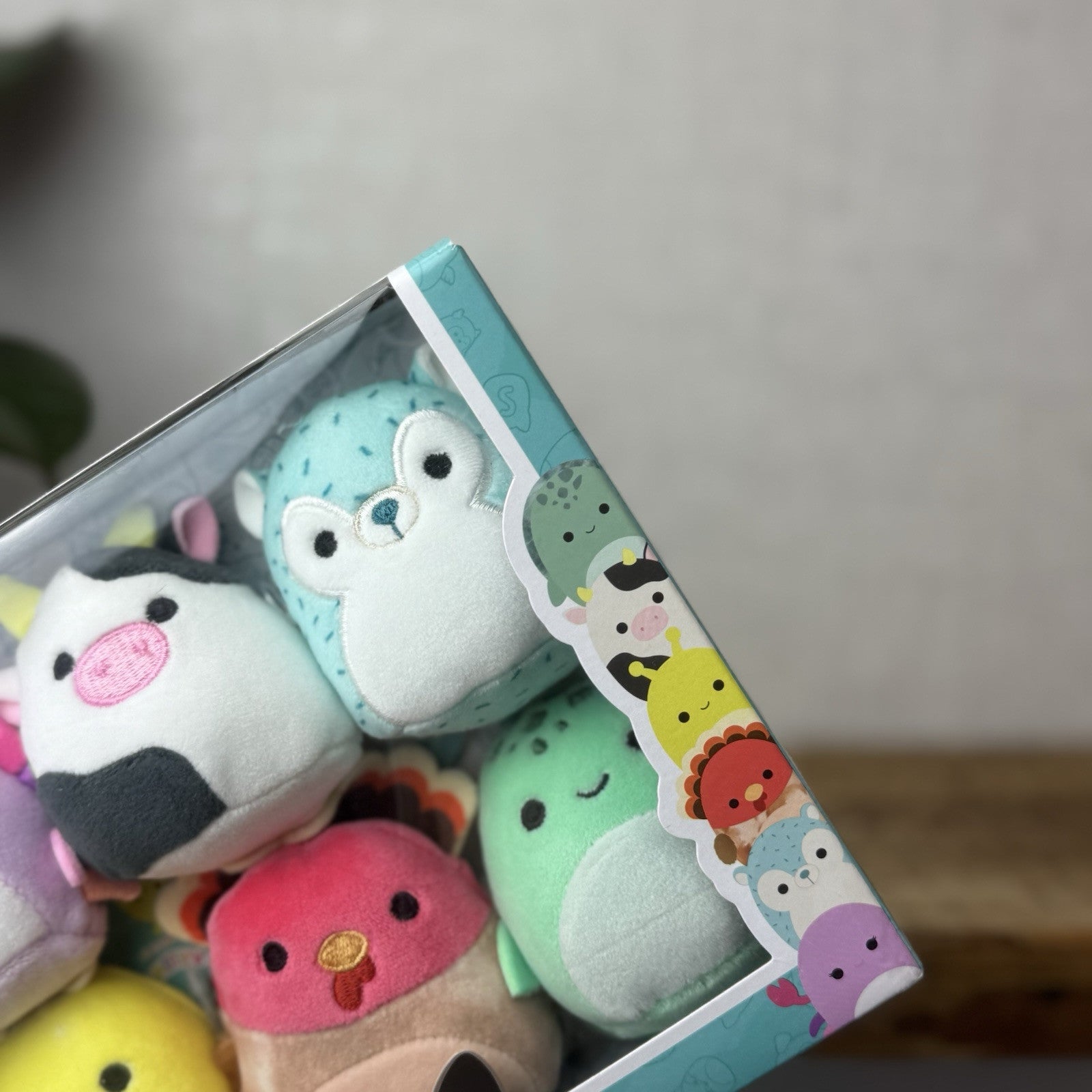Squishmallow Micromallows 6 pack - Cailey, Connor, Gavi, Zarina, Hasani, Cole