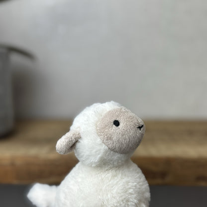 Jellycat Diddle Lamb - Diddle Collection - Tiny Sheep/Lamb Pocket Pal 5"