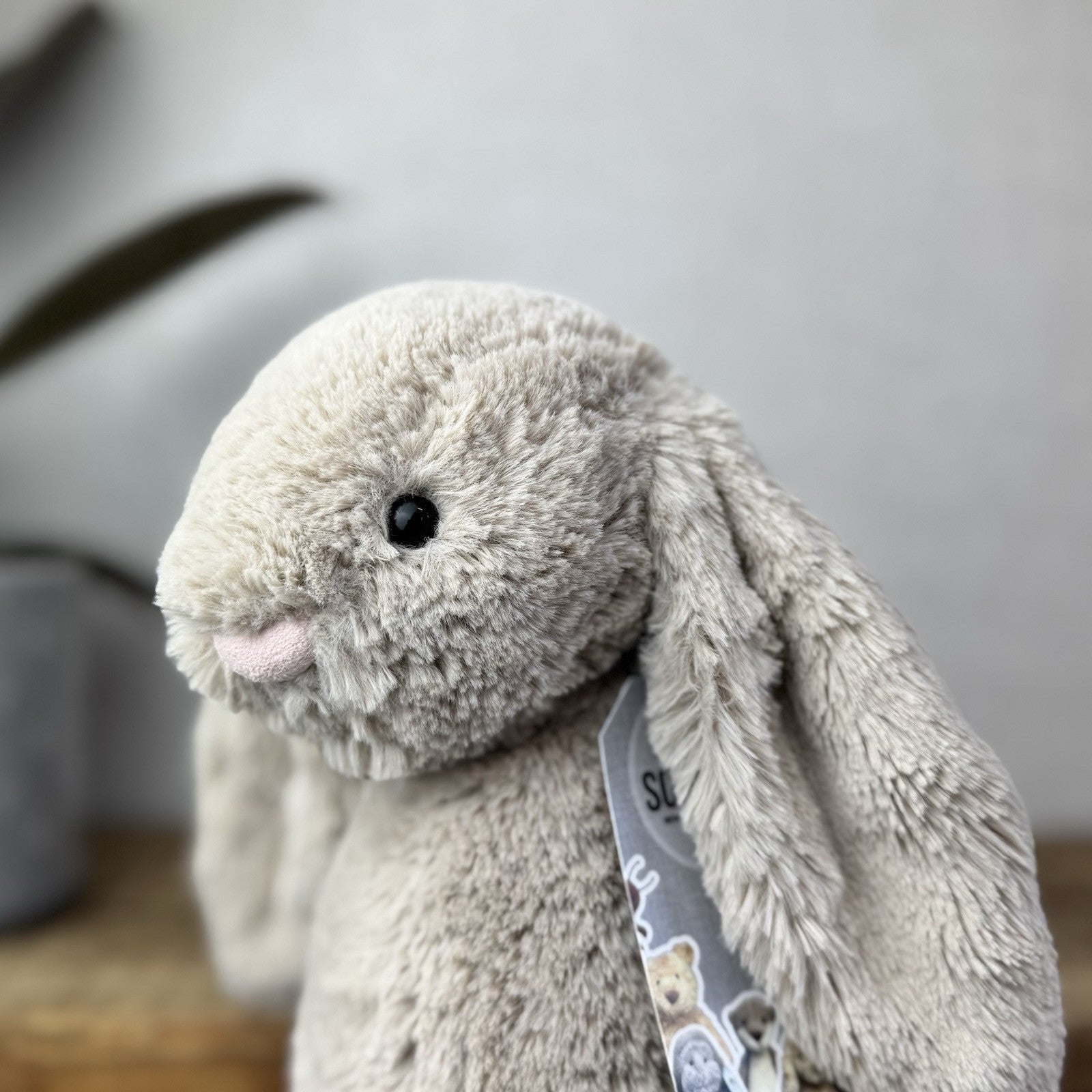 Jellycat Medium Bashful Beige Bunny - Light Brown Bunny Soft Toy Beanie 12” (3)