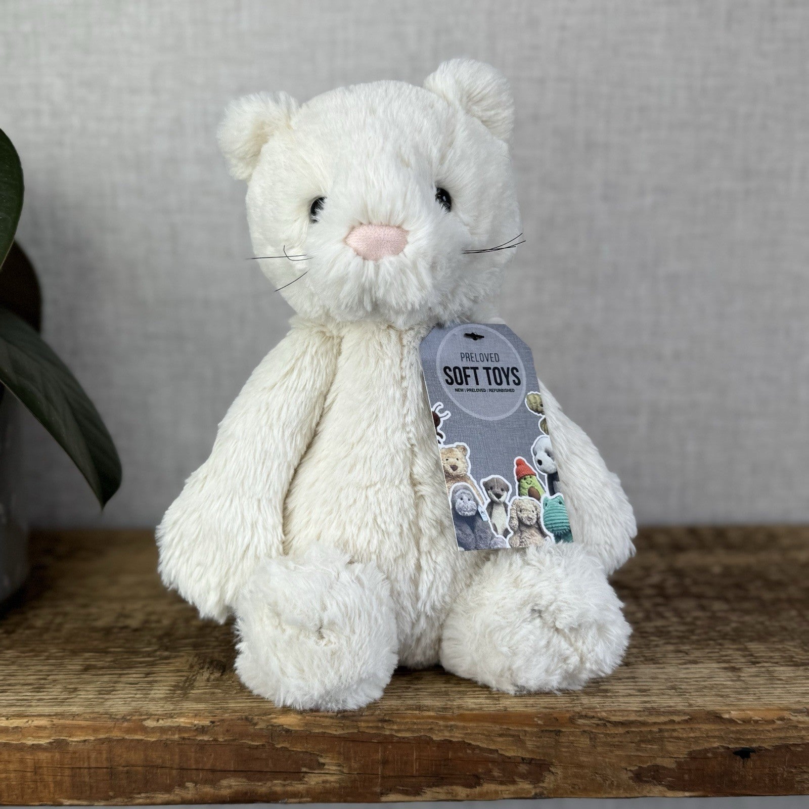 Jellycat Medium Bashful Cream Cat Kitten - Cream Cat With Whiskers Retired 12”