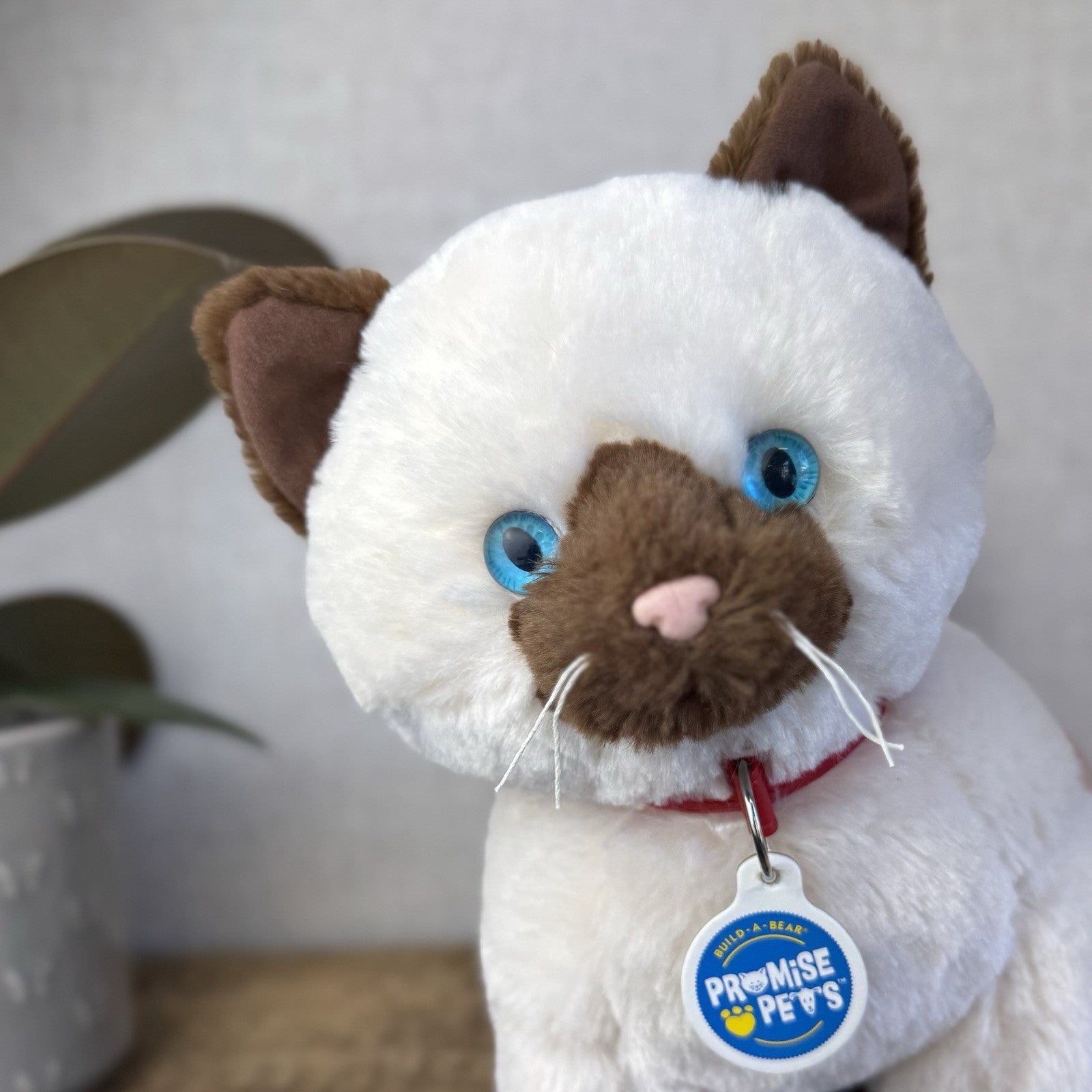 Build A Bear Hello Promise Pets Ragdoll Cat New Without Tags 2016 White/Brown