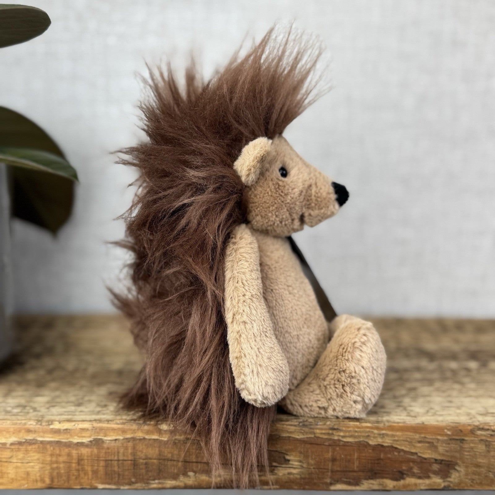 Jellycat Small Bashful Spike Hedgehog - Fluffy Beanie Woodland Hedgehog Rare 8”