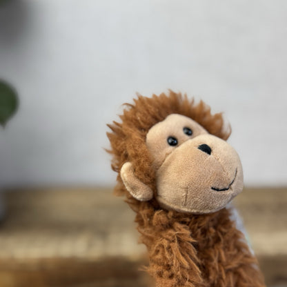 Jellycat BonBon Monkey - Brown Small Fluffy Monkey Soft Toy - Fluffy Monkey 10”