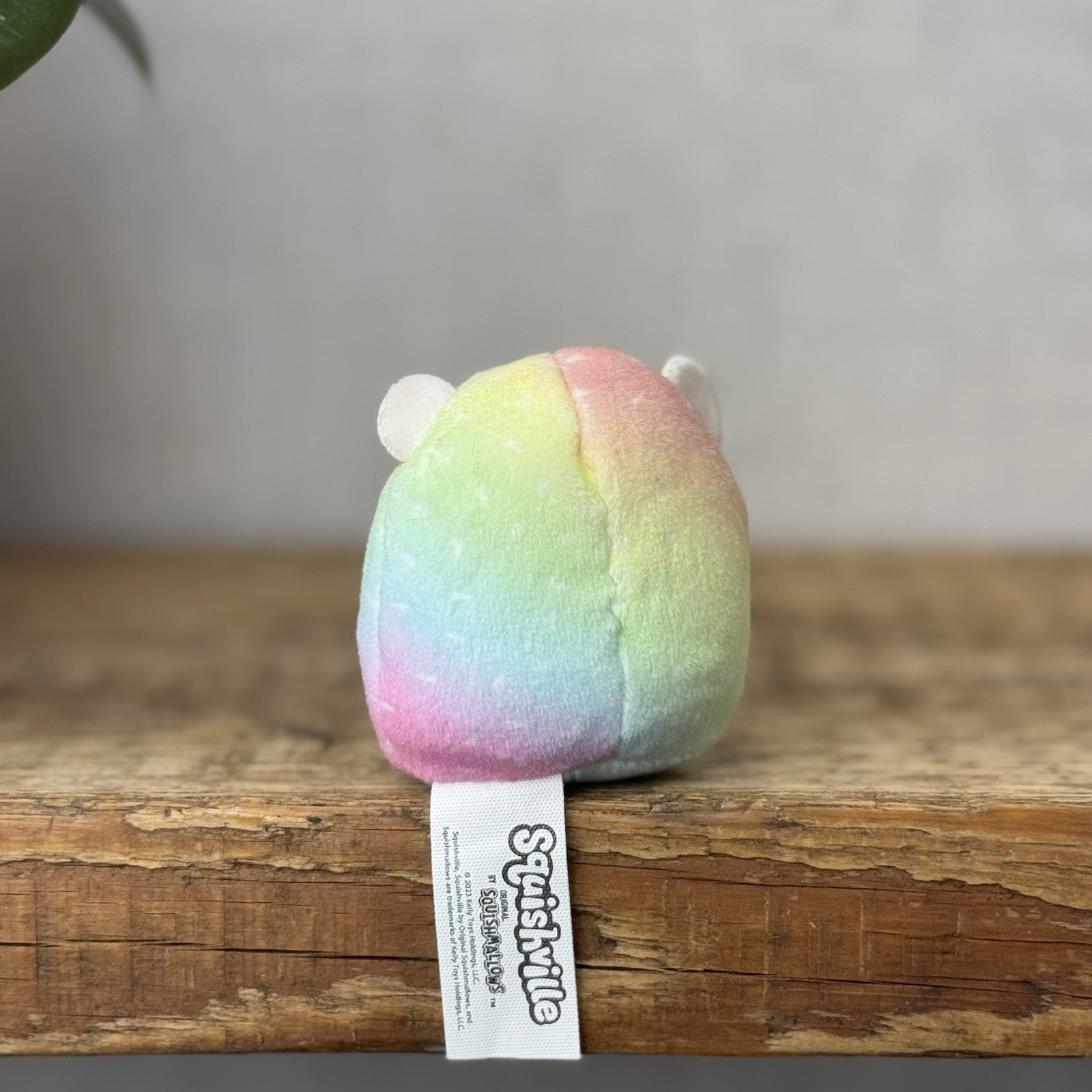 Squishmallow Squishville - Tiny Squishmallow Bowie Tie-dye Hedgehog Cute Rare 2”
