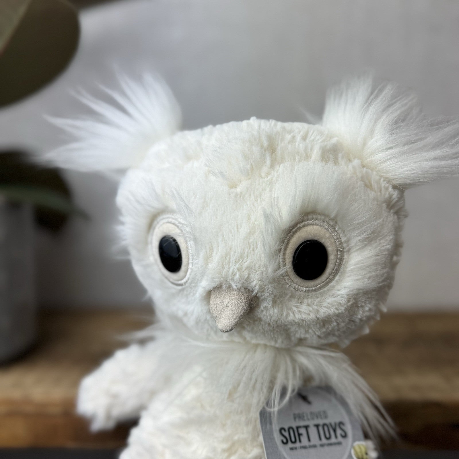 Jellycat Dapperdots Owl - Cream Fluffy Owl Big Eyed Textured Owl Beanie 12”