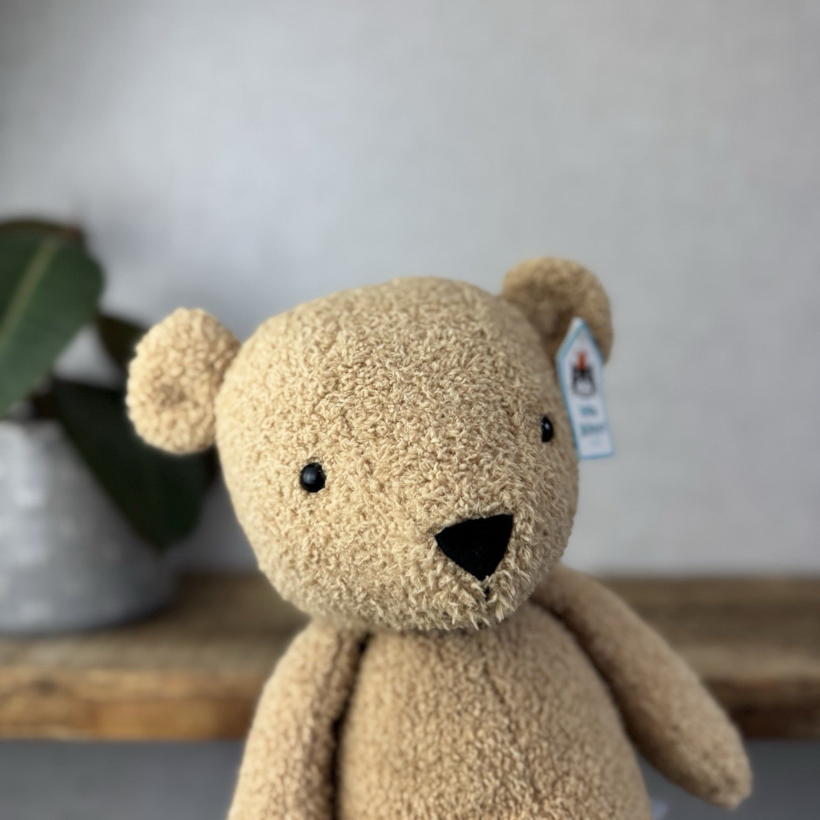 Jellycat Big Teddy - Large Little Jellycat Teddy Soft Toy With Tags Pristine 16"