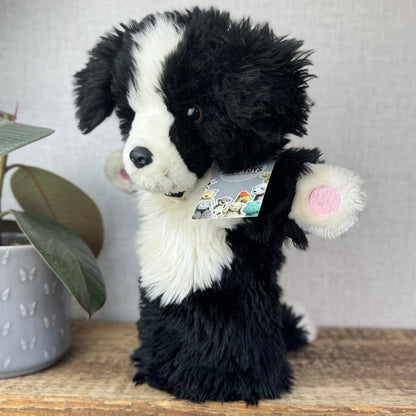 The Puppet Company - Border Collie Dog Long Sleeve Puppet Black Fluffy 14"