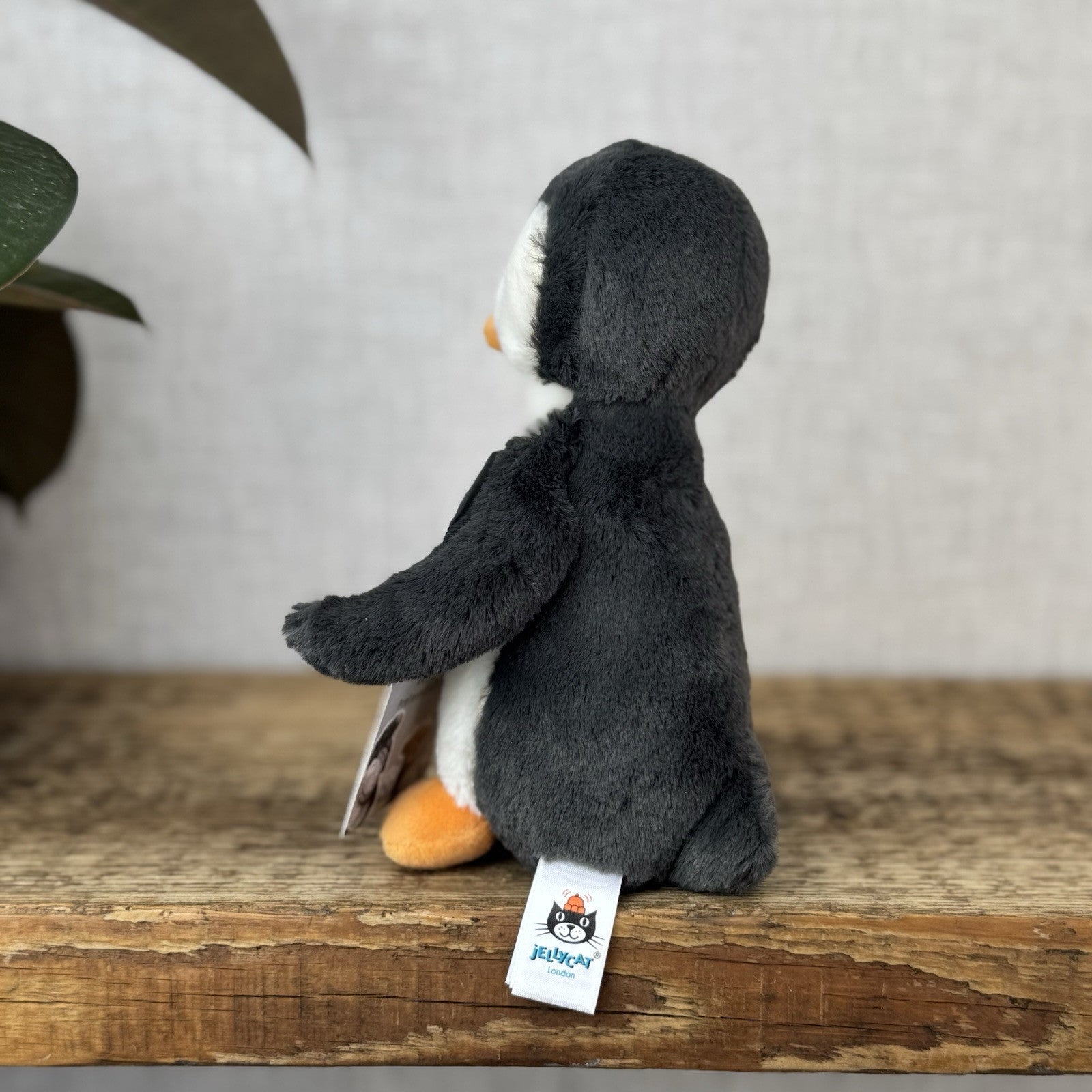 Jellycat Small Bashful Penguin - Small Retired Standing Penguin Grey - 8”