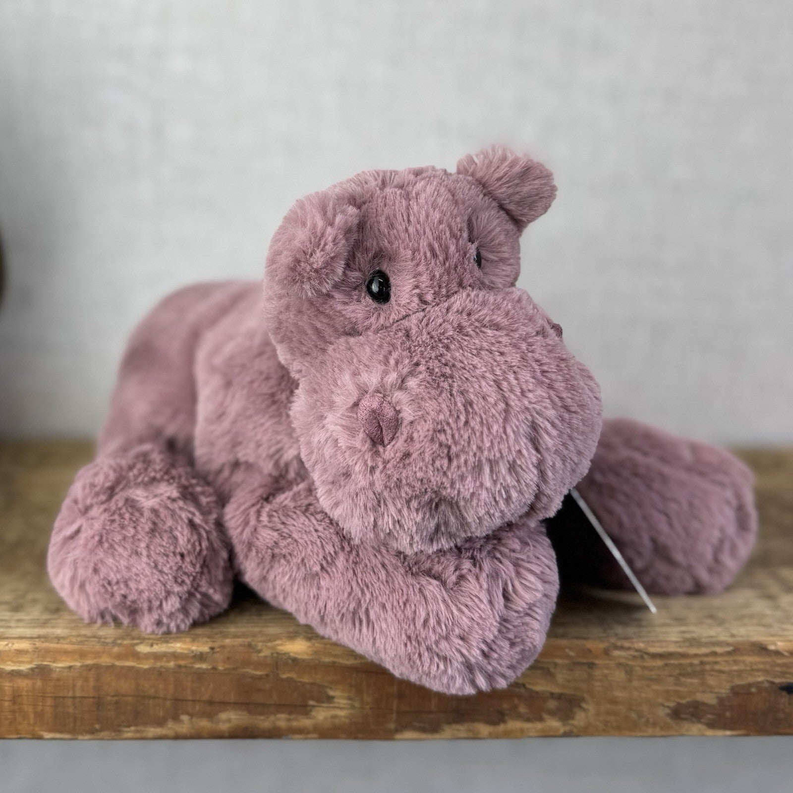Jellycat Medium Huggady Hippo - Floppy Hippo Beanie Purple Plush Soft Toy 10"