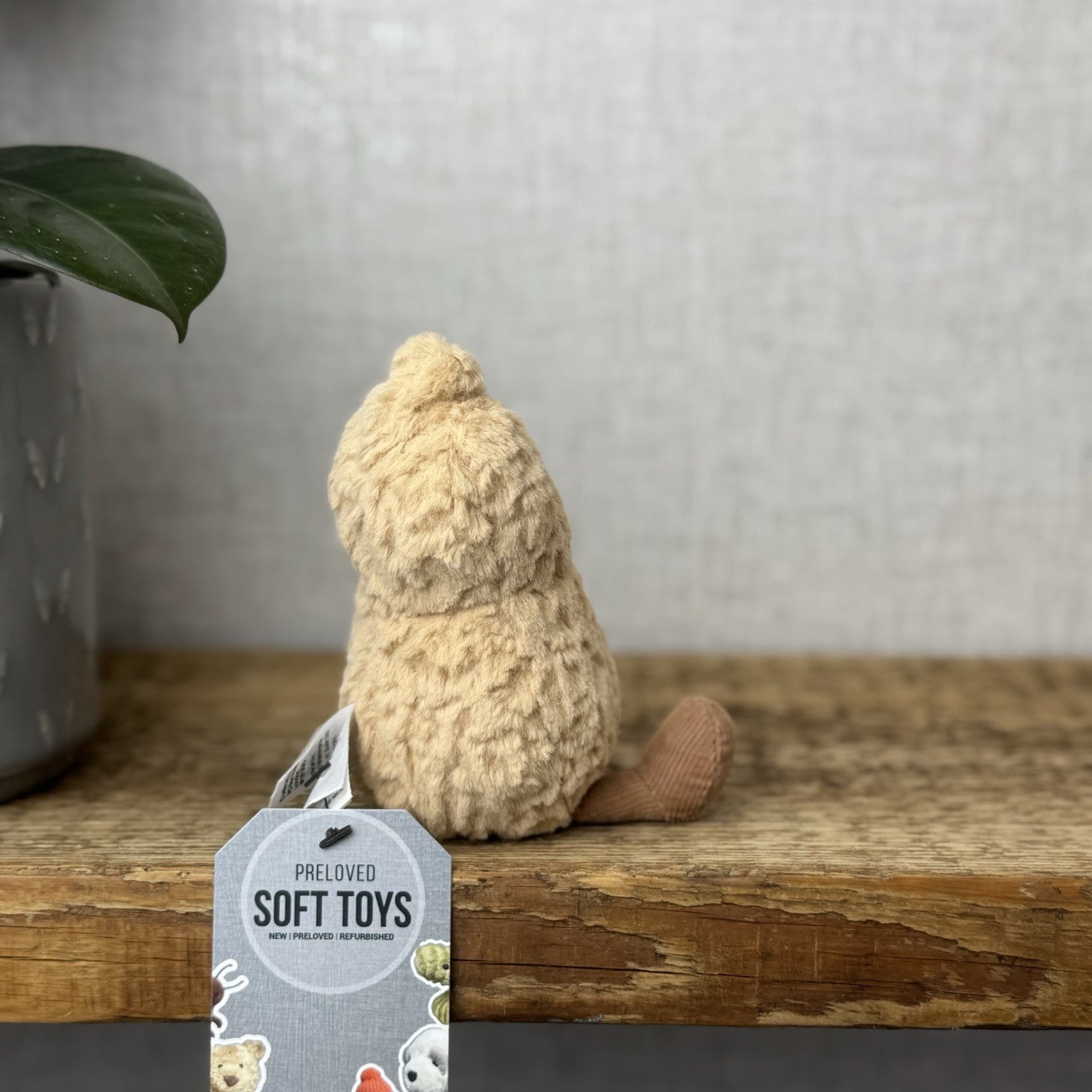 Jellycat Amuseable Peanut - Small Soft Toy Peanut Plush Beanie Tiny Nut 6”