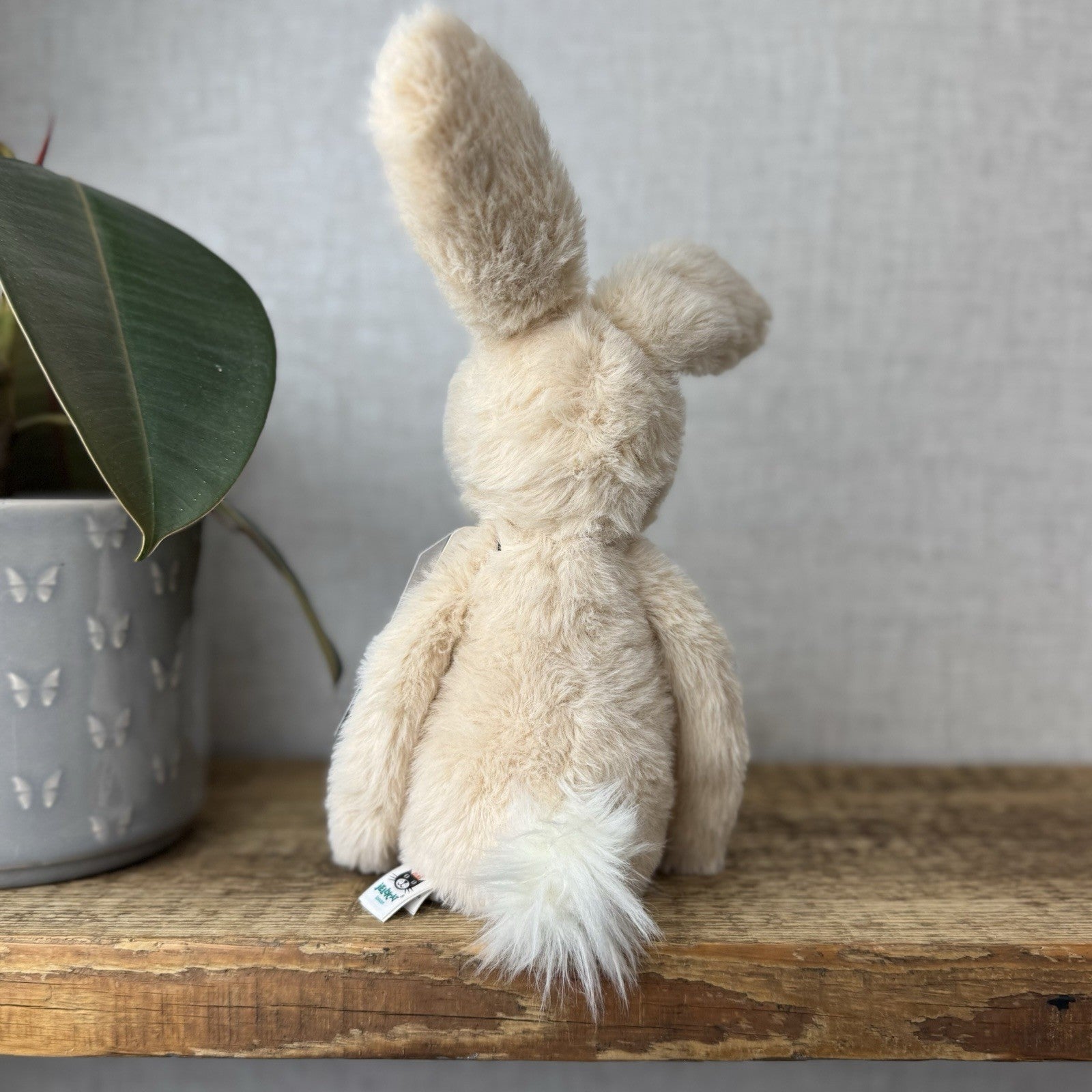 Jellycat Sweetie Bunny - Jellycat Fluffy Bunny Medium Rare Retired 12” (#2)