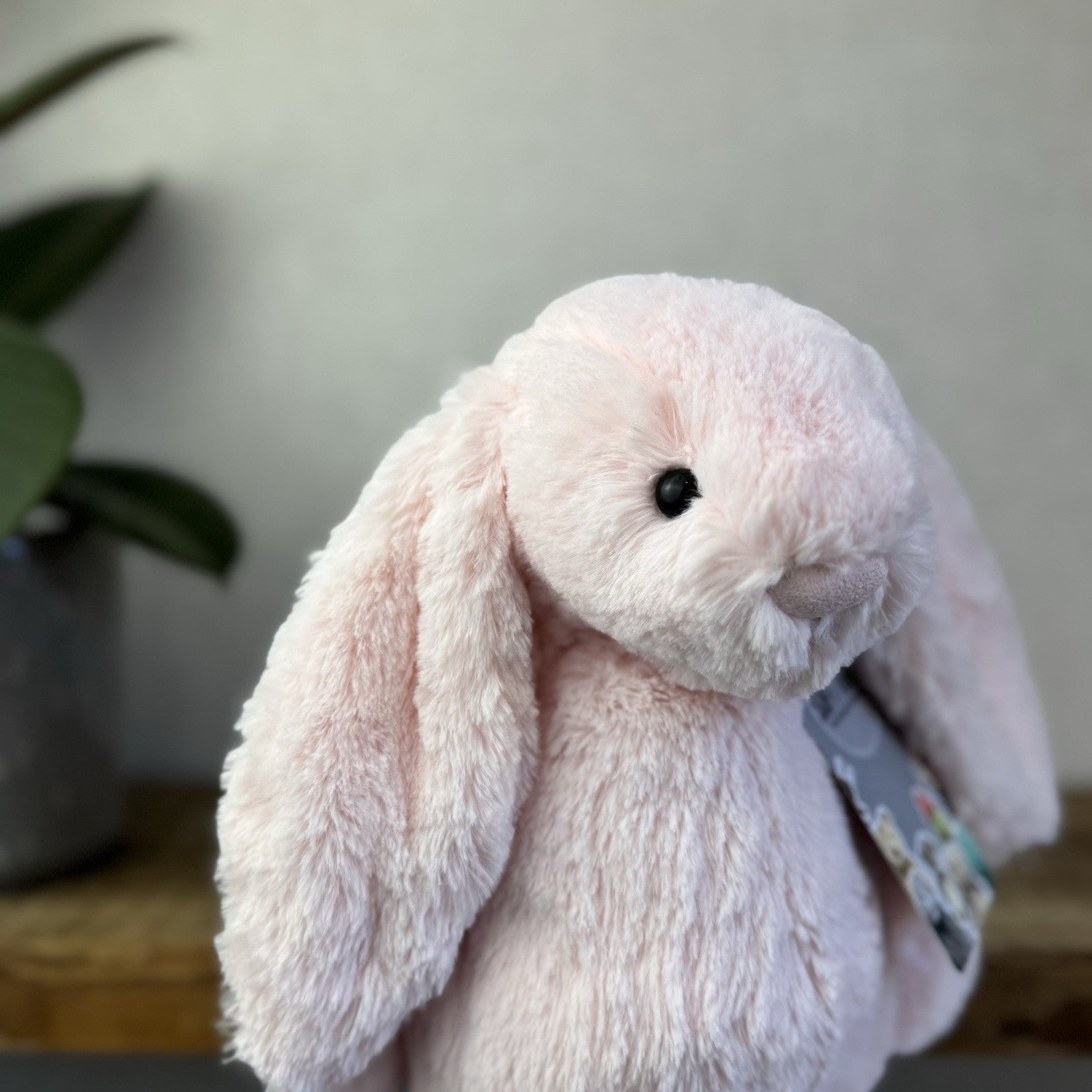 Jellycat Medium Bashful Pink Bunny - Light Pink Baby Pink Bunny Soft Toy 12” (2)