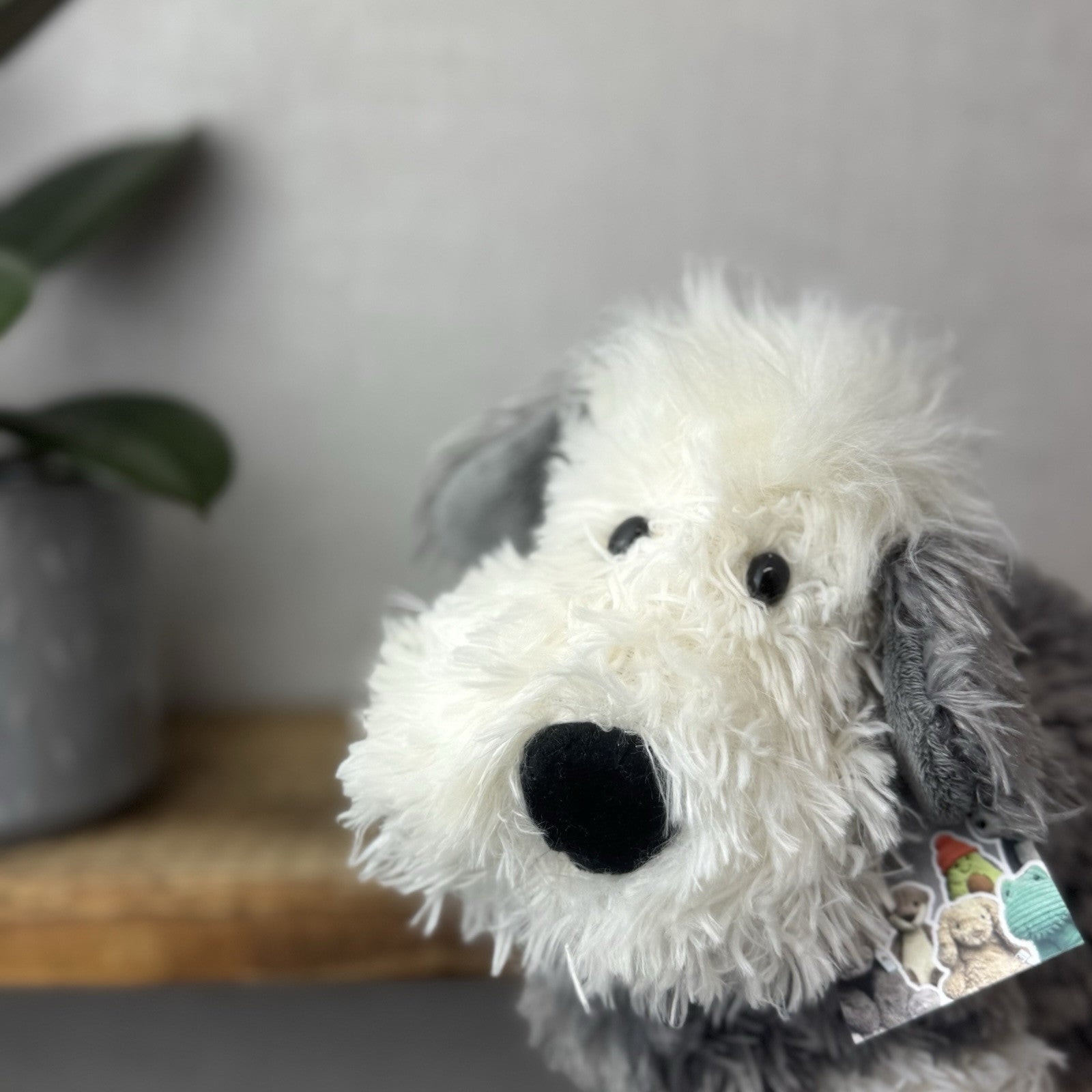 Jellycat Medium Truffles Chaucer Dog - Cream/Grey Floppy Dog Pillow Retired 14”