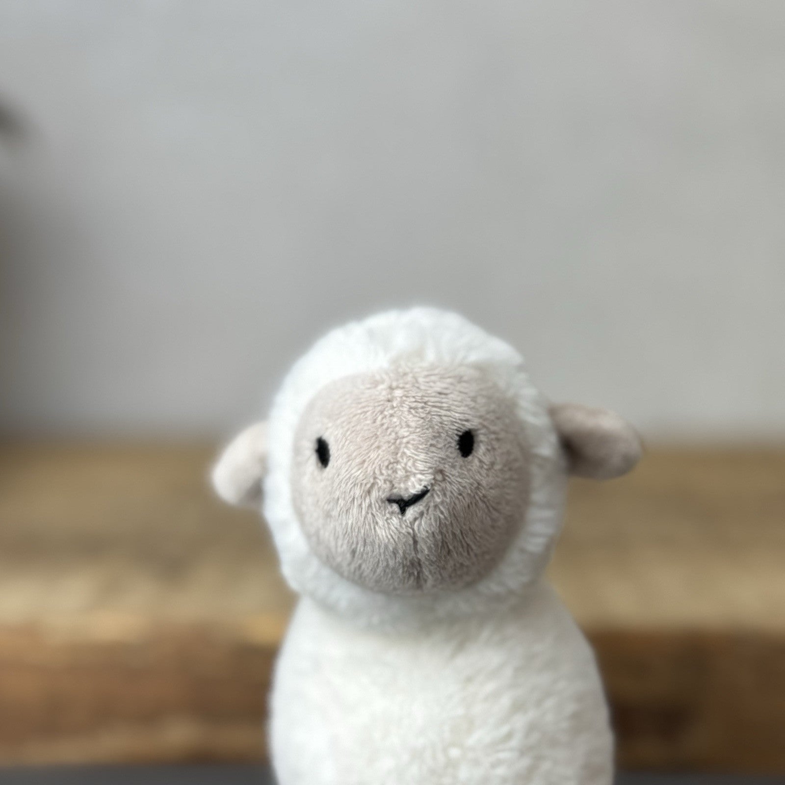 Jellycat Diddle Lamb - Diddle Collection - Tiny Sheep/Lamb Pocket Pal 5"