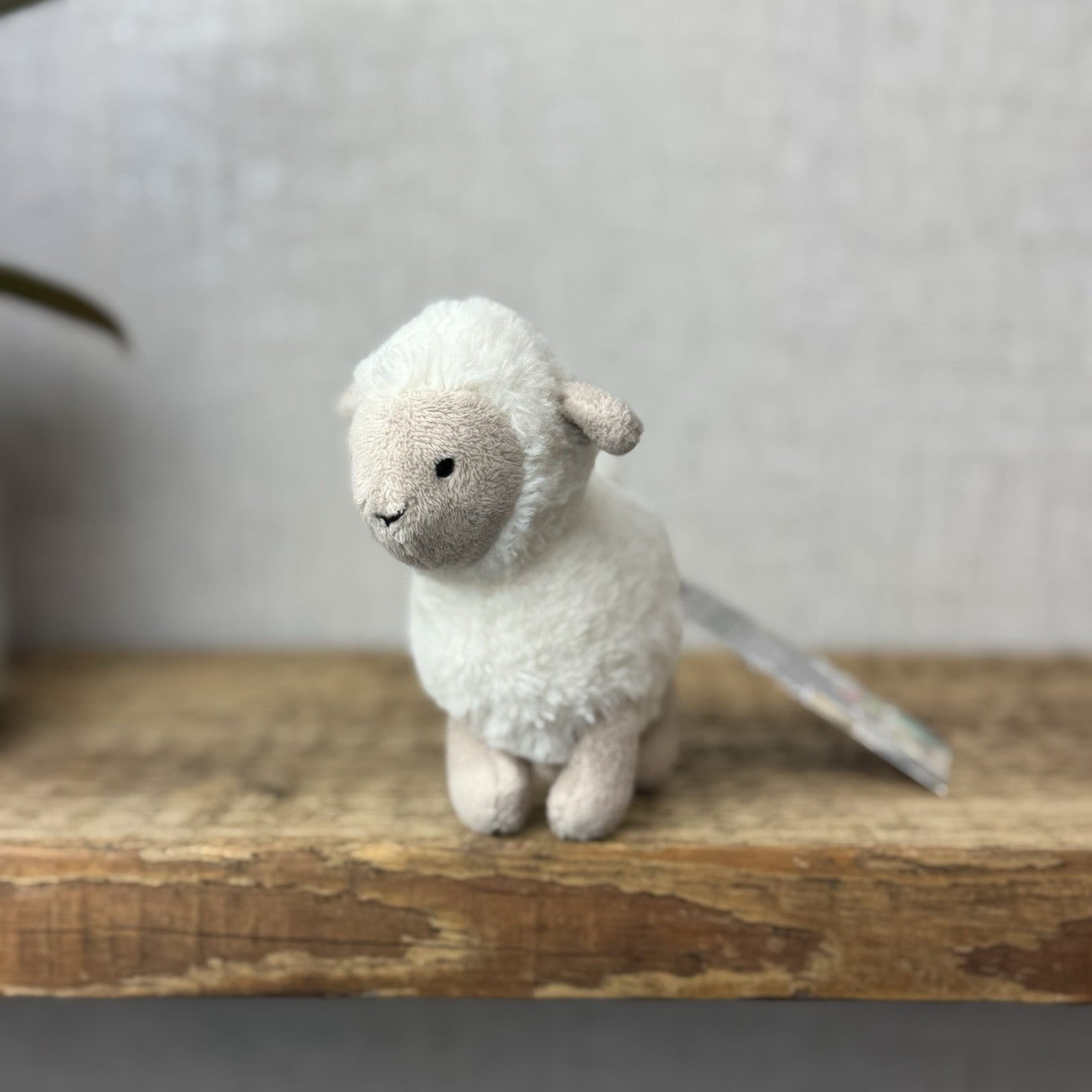 Jellycat Diddle Lamb - Diddle Collection - Tiny Sheep/Lamb Pocket Pal 5"